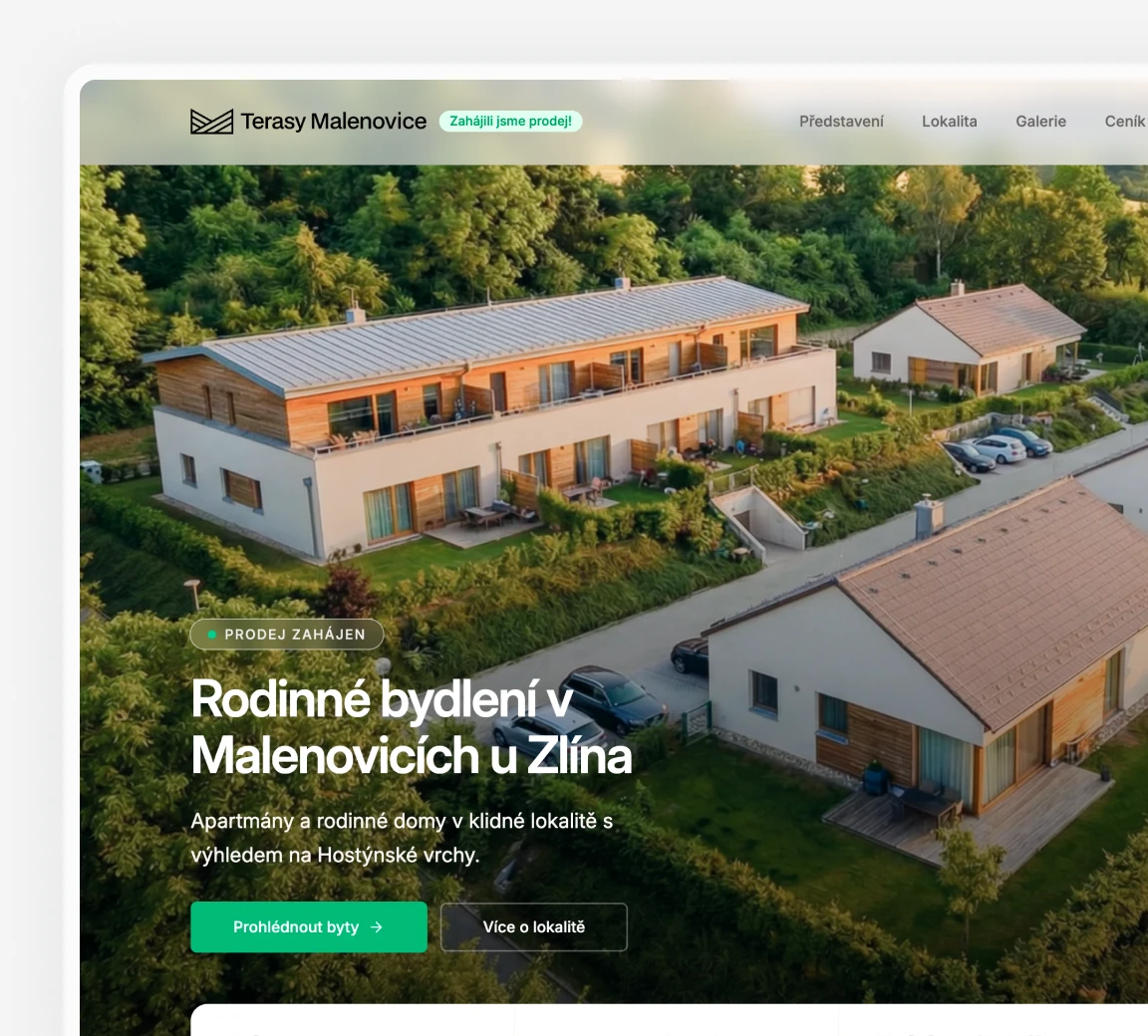 Profesionální prodejní web developerského projektu do 24 hodin